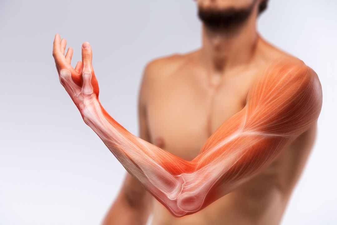 Los músculos de la mano y su tratamiento con el tratamiento con Congelum -GEL