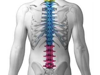 El dolor lumbar es un síntoma de enfermedades de la columna.